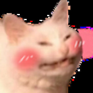 Meet your Posher, Ben